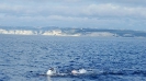 Romano Mombelli-52