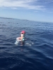 Traversata 20 giugno 2019 - Elisabeth Foster e Angela Andelson